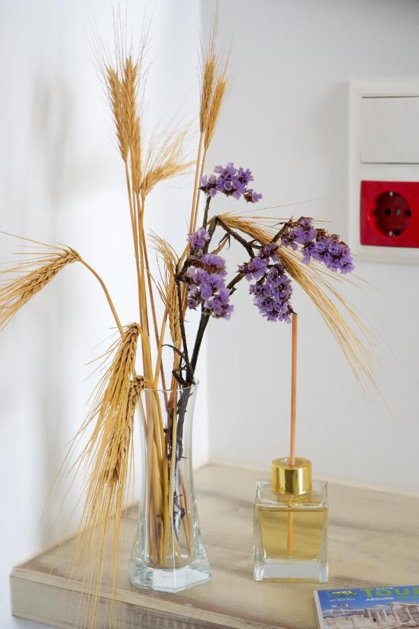 Theodora Luxury Studios Naxos City ภายนอก รูปภาพ